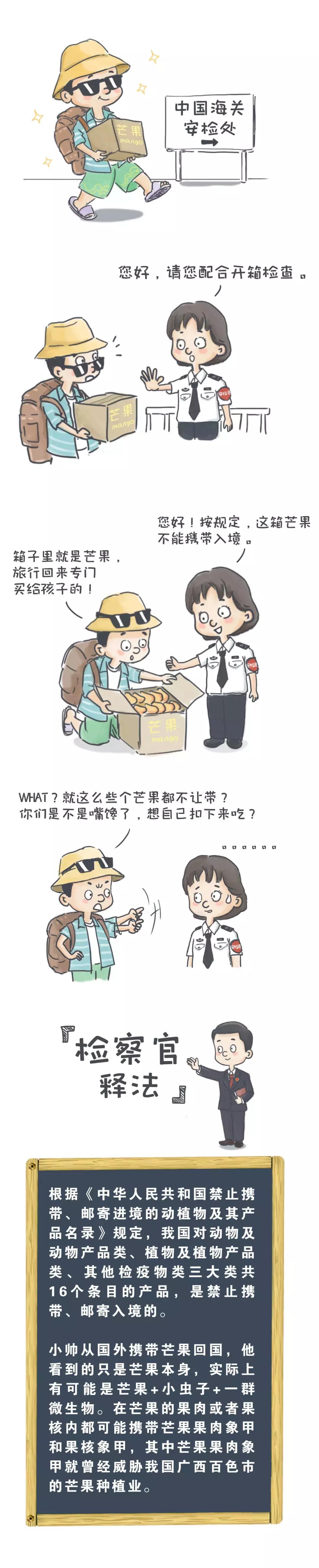 芒果漫画免费破解版下载，无限漫画世界等你探索