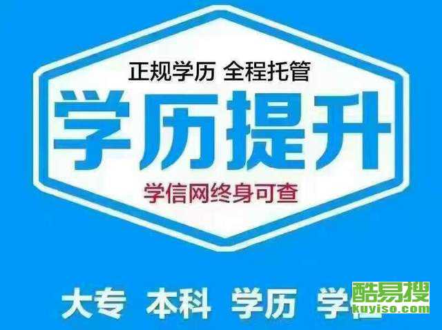 东莞横沥最新司机招聘，就业机会与职业前景深度探讨